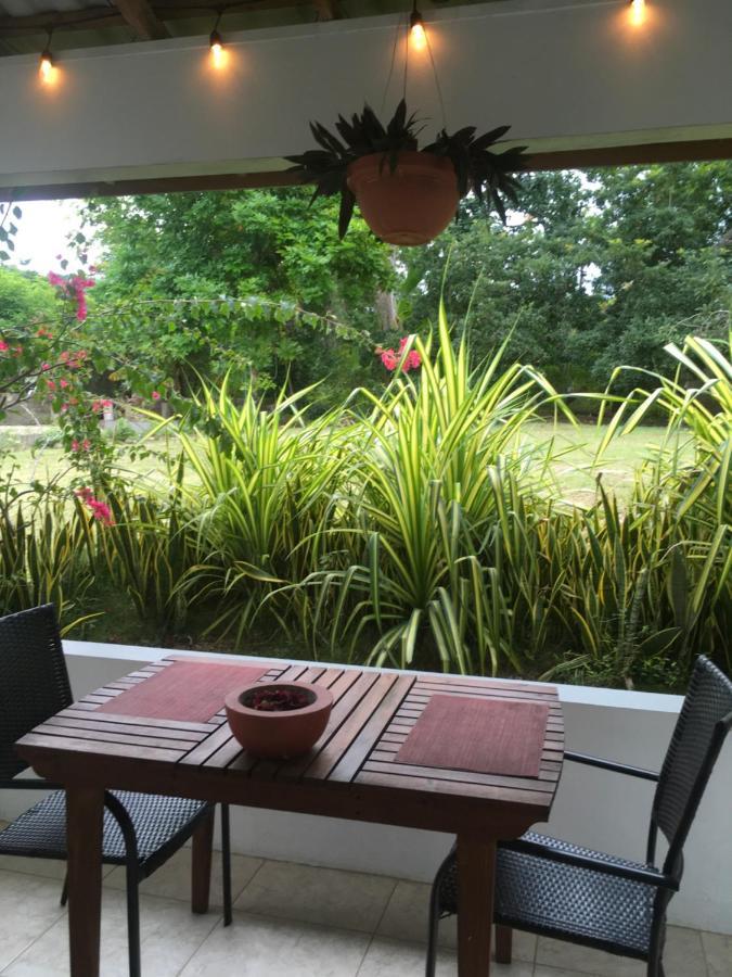 Ancella'S Garden Apartment-Beach-5Min Drive, 1 Hr Montego Bay, 25 Mins Ocho Rios, Continental Breakfast Runaway Bay Dış mekan fotoğraf