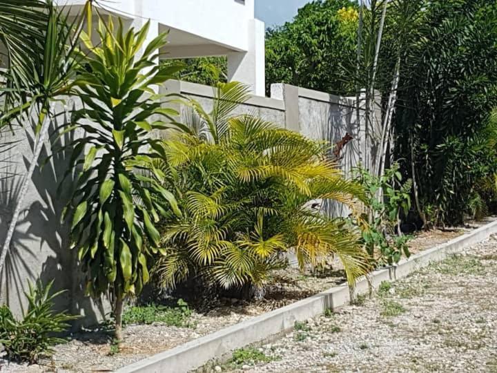 Ancella'S Garden Apartment-Beach-5Min Drive, 1 Hr Montego Bay, 25 Mins Ocho Rios, Continental Breakfast Runaway Bay Dış mekan fotoğraf